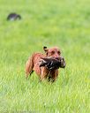 20170603-shrl-0953