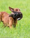 20170603-shrl-0960