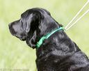 20170603-shrl-0981