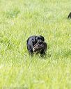 20170603-shrl-0983