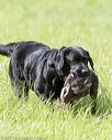 20170603-shrl-0991