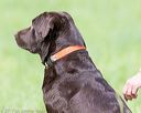 20170603-shrl-1025