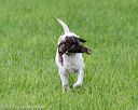 20170603-shrl-1109