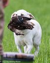 20170603-shrl-1121