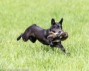 20170603-shrl-1149