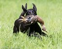 20170603-shrl-1162