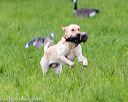 20170603-shrl-1221