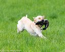 20170603-shrl-1223