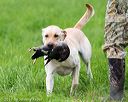 20170603-shrl-1229