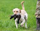 20170603-shrl-1230