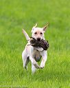 20170603-shrl-1237