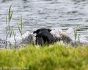 20170603-shrw-0134