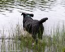 20170603-shrw-0167
