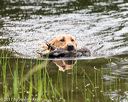 20170603-shrw-0216