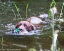 20170603-shrw-0654