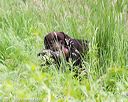 20170603-shrw-0838