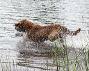 20170603-shrw-0982