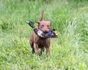 20170603-shrw-1001
