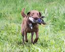 20170603-shrw-1004