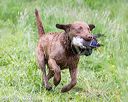20170603-shrw-1009