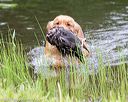 20170603-shrw-1219