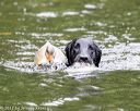 20170603-shrw-1282