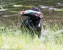 20170603-shrw-1465