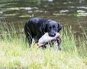 20170603-shrw-1466