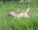 20170603-shrw-1552