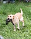 20170603-shrw-1559
