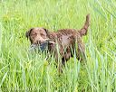 20170603-shrw-1697