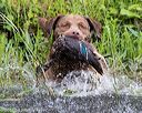 20170603-shrw-1709