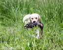 20170603-shrw-1753