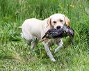 20170603-shrw-1756