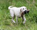 20170603-shrw-1824