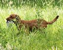 20170603-shrw-1856