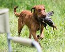 20170603-shrw-1857
