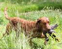 20170603-shrw-1861