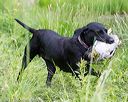 20170603-shrw-2031