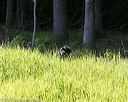 20170604-seal-0040