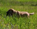 20170604-seal-0234