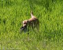 20170604-seal-0267