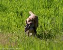 20170604-seal-0269