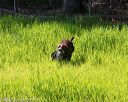 20170604-seal-0469