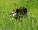 20170604-seal-0478