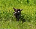 20170604-seal-0549
