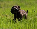 20170604-seal-0585