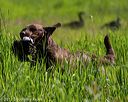 20170604-seal-0589