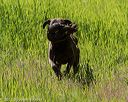 20170604-seal-0609