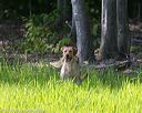 20170604-seal-0845